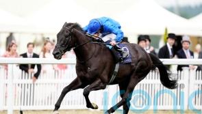 Rebel&rsquo;s Romance ready to roll back the years again