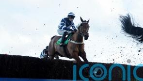 Vincenzo chasing Greatwood glory at Newbury