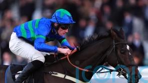 Bass Hunter all set for Champion Bumper bid