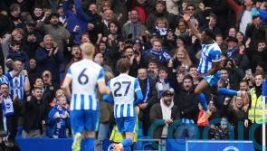 Danny Welbeck hits Brighton winner to keep Nottingham Forest in relegation mire