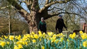 Sunny start to spring as temperatures expected to climb above average for some