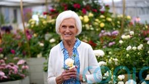 Dame Mary Berry: Having a garden has brought me great solace