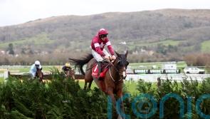 Favori De Champdou might have dented Festival chance in Trials day win