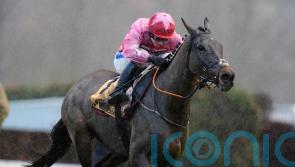 Go Dante aiming for record third Imperial Cup success