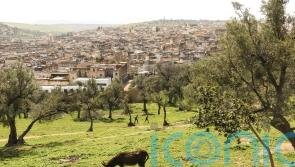 Discover Fes &ndash; Morocco&rsquo;s historic second city and Marrakech&rsquo;s less-visited alternative
