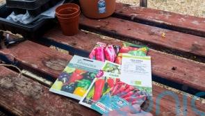 Should you use out-of-date seeds?