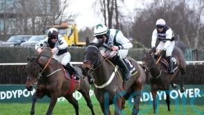 Irish Panther could yet come into the Champion Chase mix