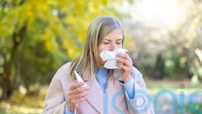 How to prepare for hay fever season