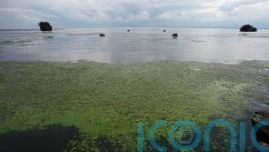 Environment Minister seeks approval to end NI Water &lsquo;licence to pollute&rsquo;