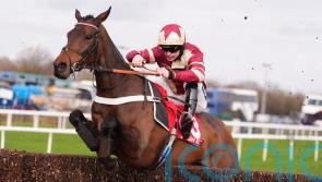 Greatrex looking at Grade One targets for Mighty Bandit