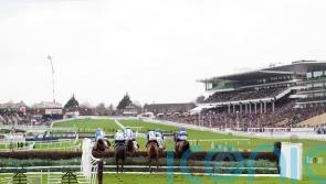 Captain Hugo will not be hunting Cheltenham bonus next week