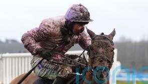 Wreckless Eric on retrieval mission in Imperial Cup