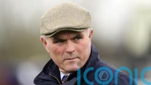 Evan Williams seen hitting dog walker &lsquo;with force&rsquo;, jury told