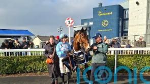Brechin Castle defies long absence at Naas
