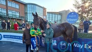 Mighty Park taking Supreme route at Cheltenham