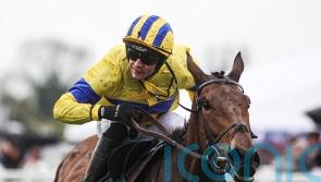 Owner Fearghal Eastwood savouring Festival journey with Spindleberry