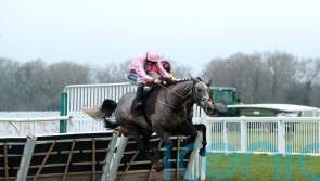 Scorpio could be written in the stars at Sandown