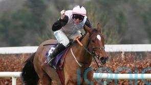 Teahupoo and Bob Olinger on course for Stayers&rsquo; Hurdle rematch