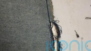 6,000 euro of heroin found sown into jeans left for prison inmate
