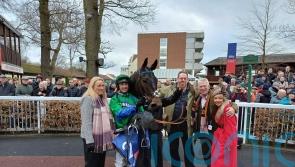 Hall backing Old Park to Star in Supreme test