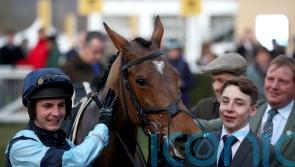 Indefatigable success has lost none of its lustre for Webber