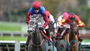 McNeill prepared for the Drama of a Festival runner