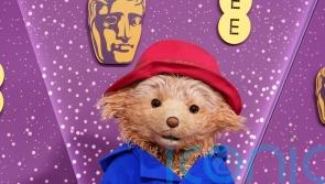 Paddington The Musical triumphs at WhatsOnStage awards with nine wins