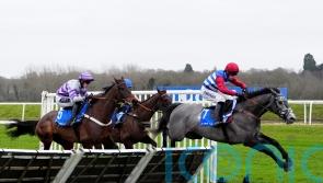 Nicholls will be more than happy to see No Drama at all on day two