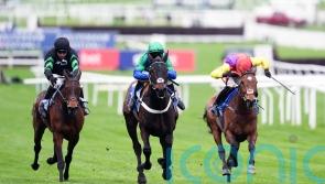 Old Park Star rules supreme for Henderson at Cheltenham