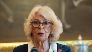 Camilla &lsquo;stands in solidarity&rsquo; with survivors of abuse and violence