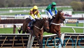 King Rasko Grey powers to Turners glory for Mullins