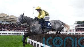 Kitzbuhel climbs to the top of Brown Advisory mountain