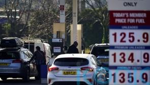 IEA agrees to release emergency oil reserves in effort to calm surging prices