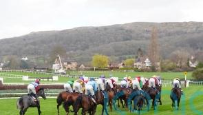 Tempers rise as Cheltenham starts come into focus again
