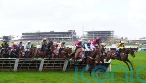Declan Queally and Nico de Boinville in heated exchange at Cheltenham start