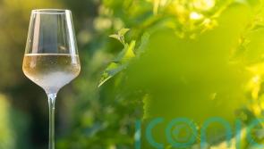 6 wonderful whites to signal springtime