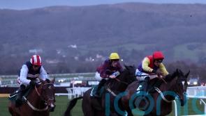 Tizzard backing Kripticjim to rise to Bartlett challenge