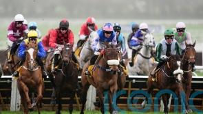 White Noise provides Festival joy for Tom Bellamy