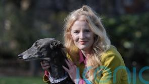 More plumbers and plasterers should become MPs says Green in maiden speech