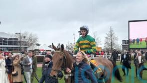 Meetmebythesea powers to Festival glory