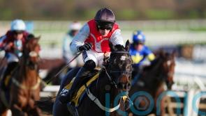 Nicol looking to Minella Study to pass Triumph test