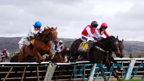 Apolon De Charnie stuns Cheltenham crowd with 50-1 shock in Triumph Hurdle