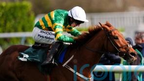 Dinoblue defends her Mares&rsquo; Chase crown with minimum of fuss