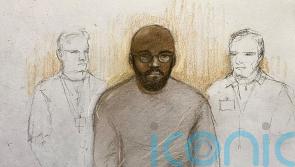 Ex-MI5 employee made &lsquo;highly disturbing&rsquo; claims of rape and torture, court told