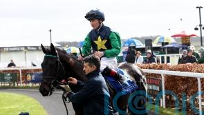 Champion Bumper hero Keane back to winning ways at the Curragh