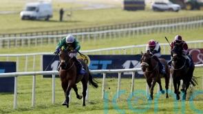 Ribee makes light work of Lincolnshire opposition