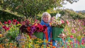 The best flowers to grow for cutting