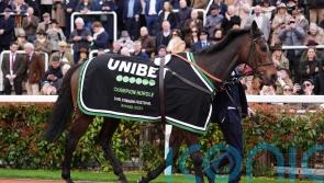 Geraghty has full faith in Constitution Hill&rsquo;s Flat prowess