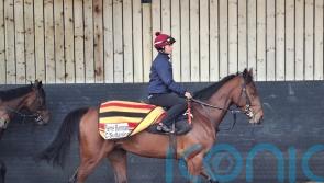 Home comforts likely for Pierre Bonnard before Epsom