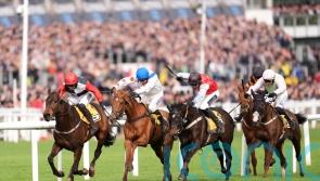 Nicol contemplates Flat campaign with Triumph third Minella Study